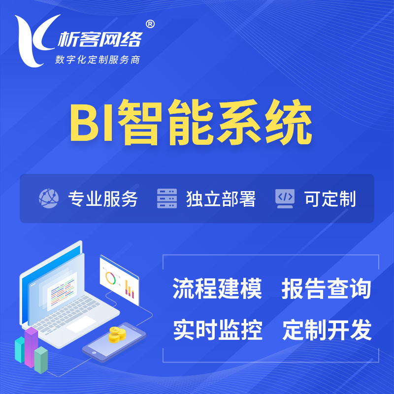 宜春BI智能系统 | BI数据可视化